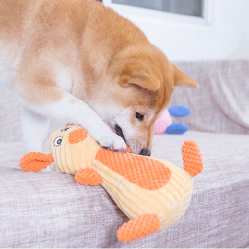 毛孩玩具｜發聲玩具-萌豬兔子系列 - 毛孩食務所