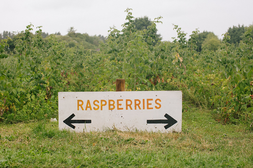 LBJ | 覆盆子 & 扶桑花果醬