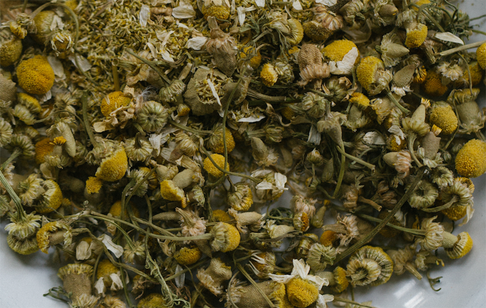 LBJ | 塞維利亞橙 & 洋甘菊果醬