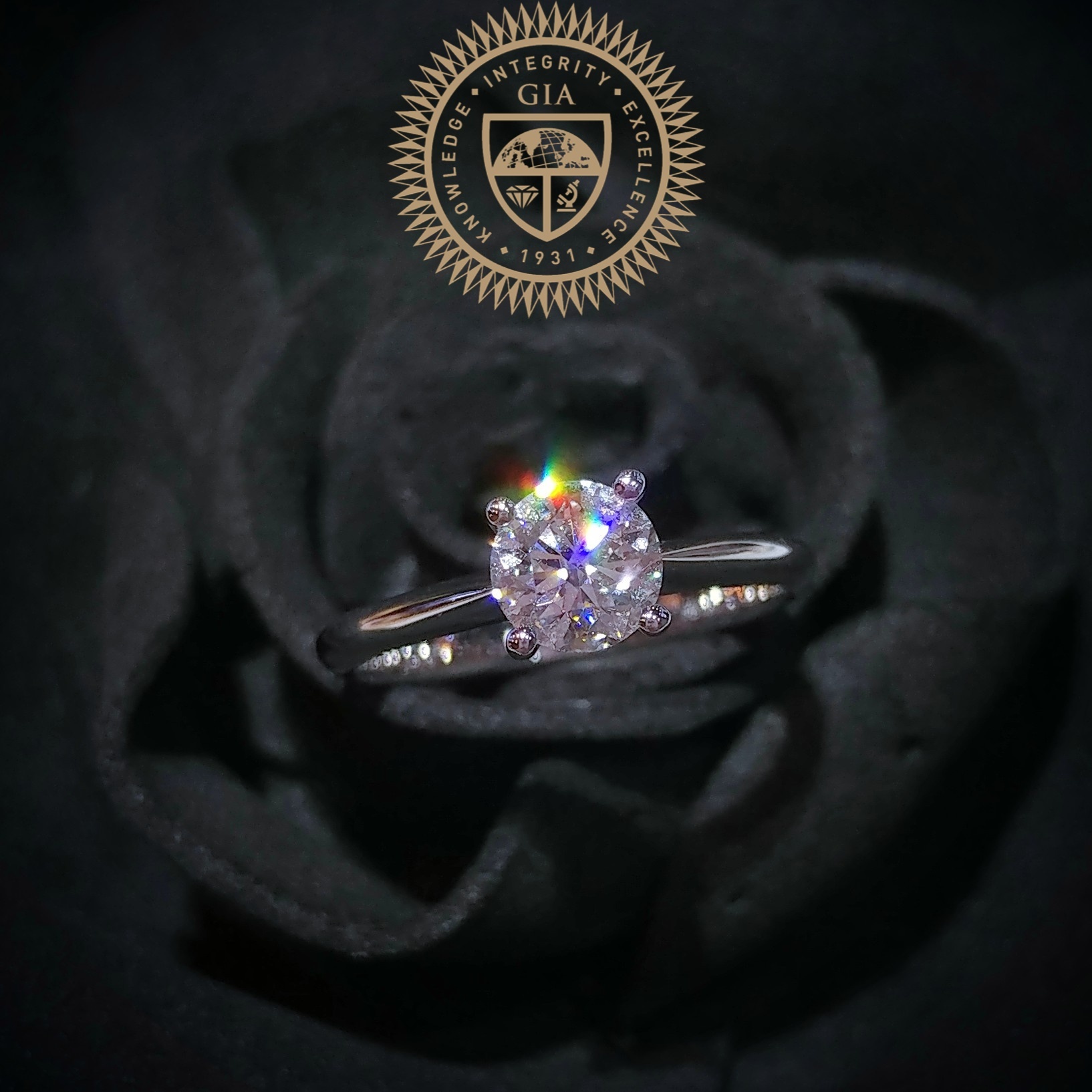 18K White Gold 0.50ct Diamond Ring