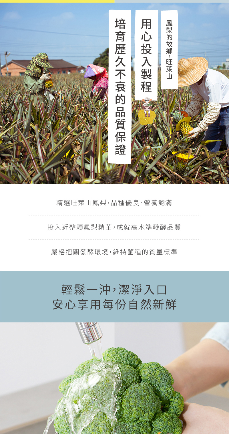 天然鳳梨酵素蔬果洗淨液 天然鳳梨酵素蔬果洗淨液