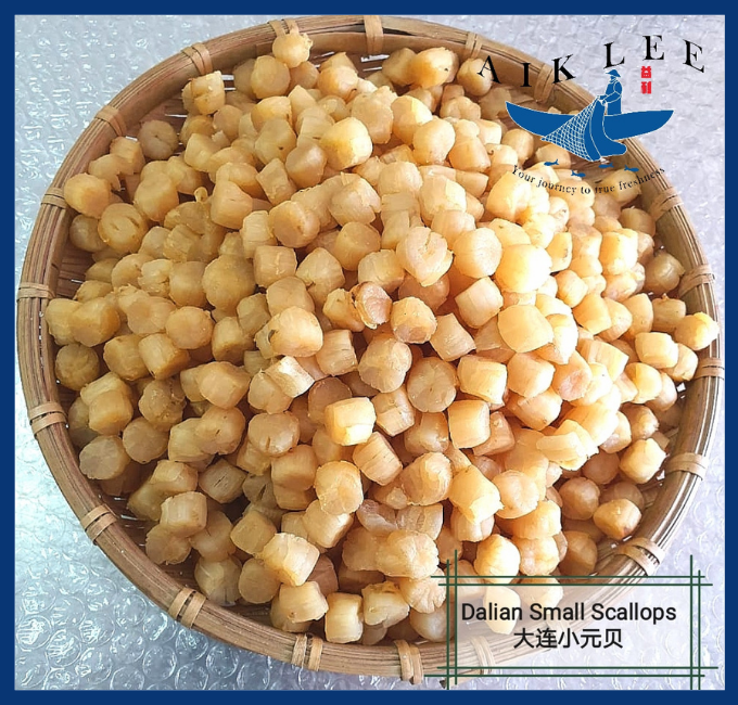 China Dalian Dried Scallops (Small)