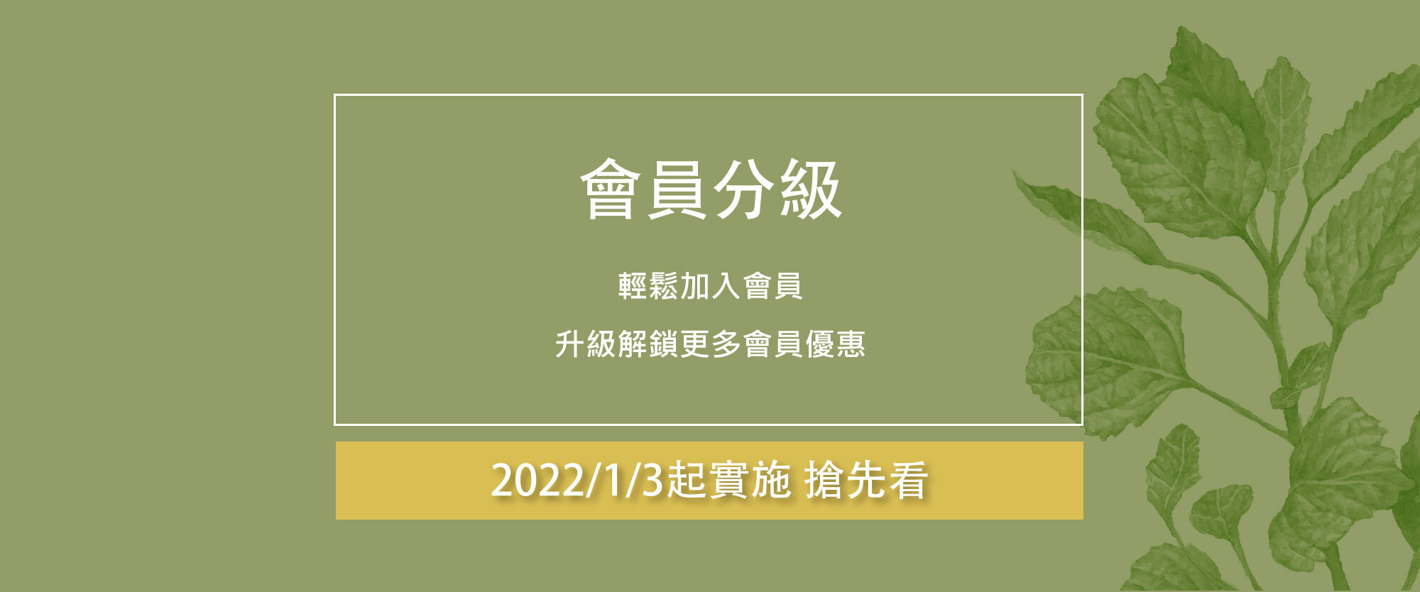 點此搶先了解會員分級制度