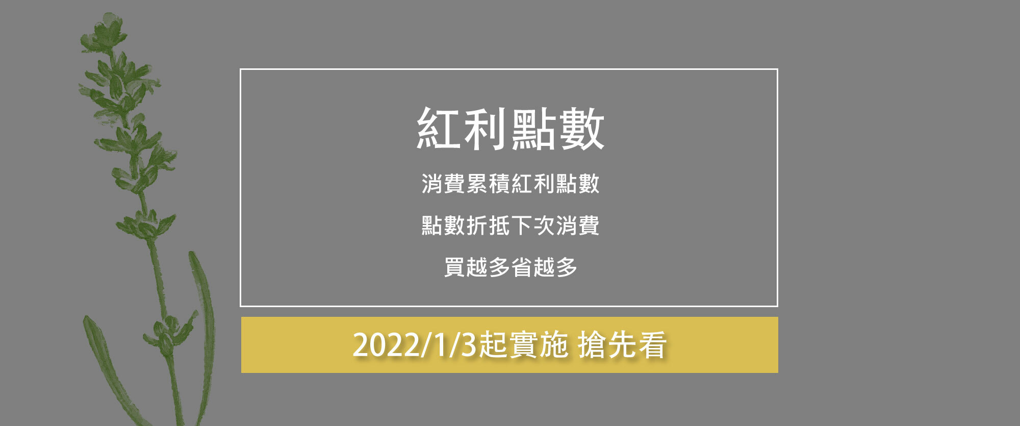 點此搶先了解紅利點數辦法