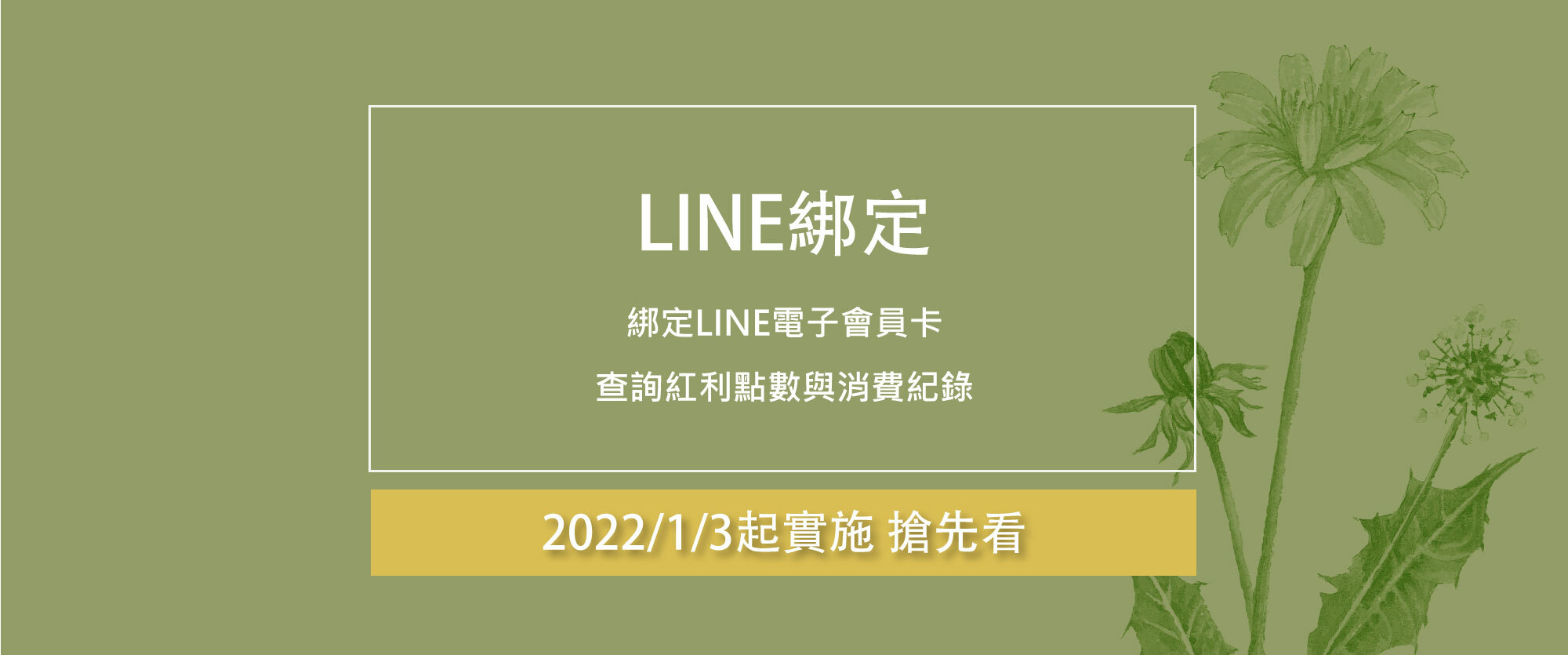 點此了解LINE綁定辦法