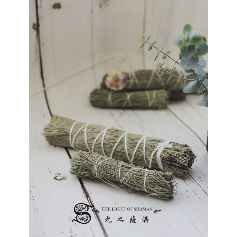 北美淨化聖品 美國矮松大小捆 矮松粉 森林療癒系首選 錐香 香塔－光之薩滿
