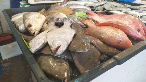 Ikan Sisa Nabi in English