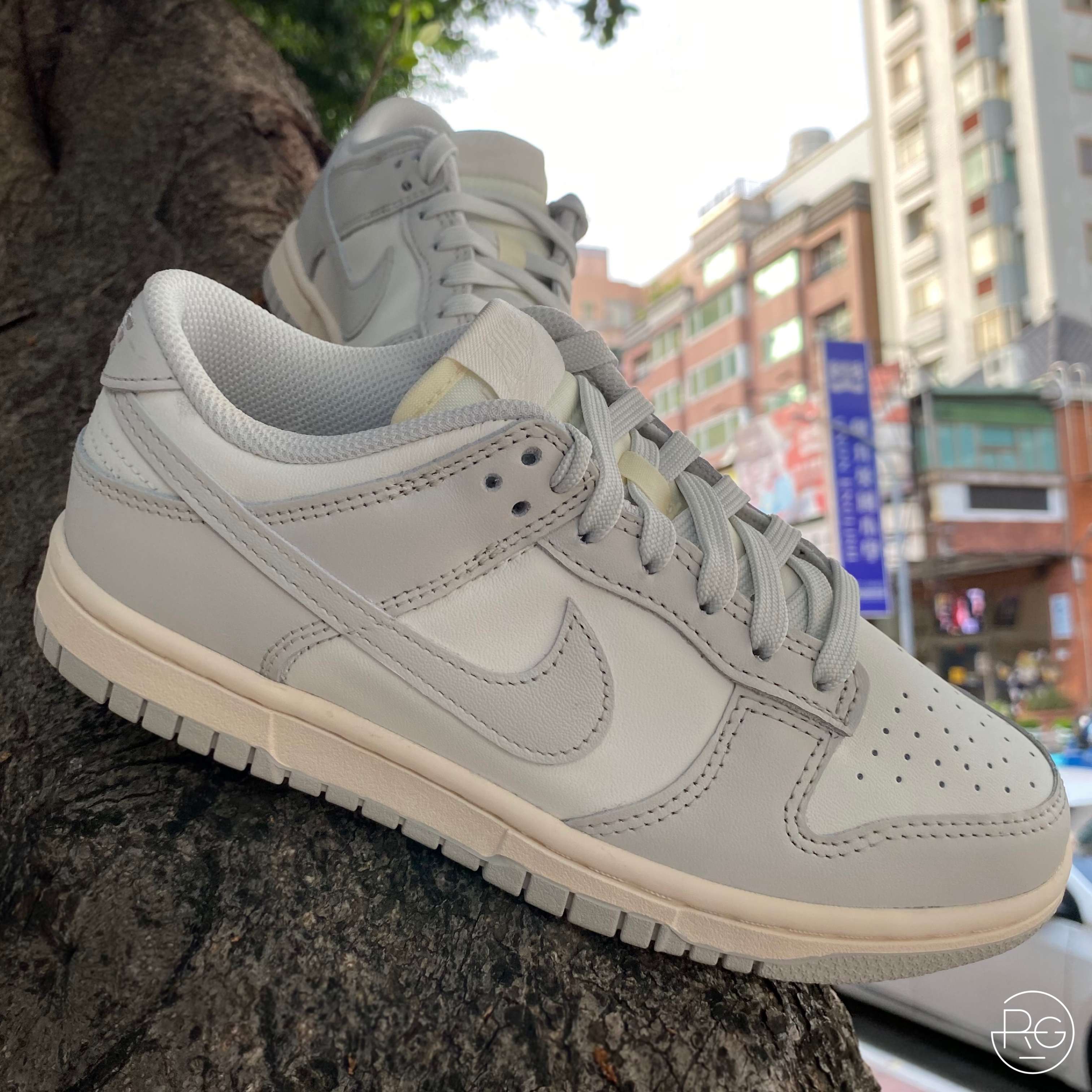 Nike Dunk Low Light Bone 灰骨白 經典款 (DD1503-107)