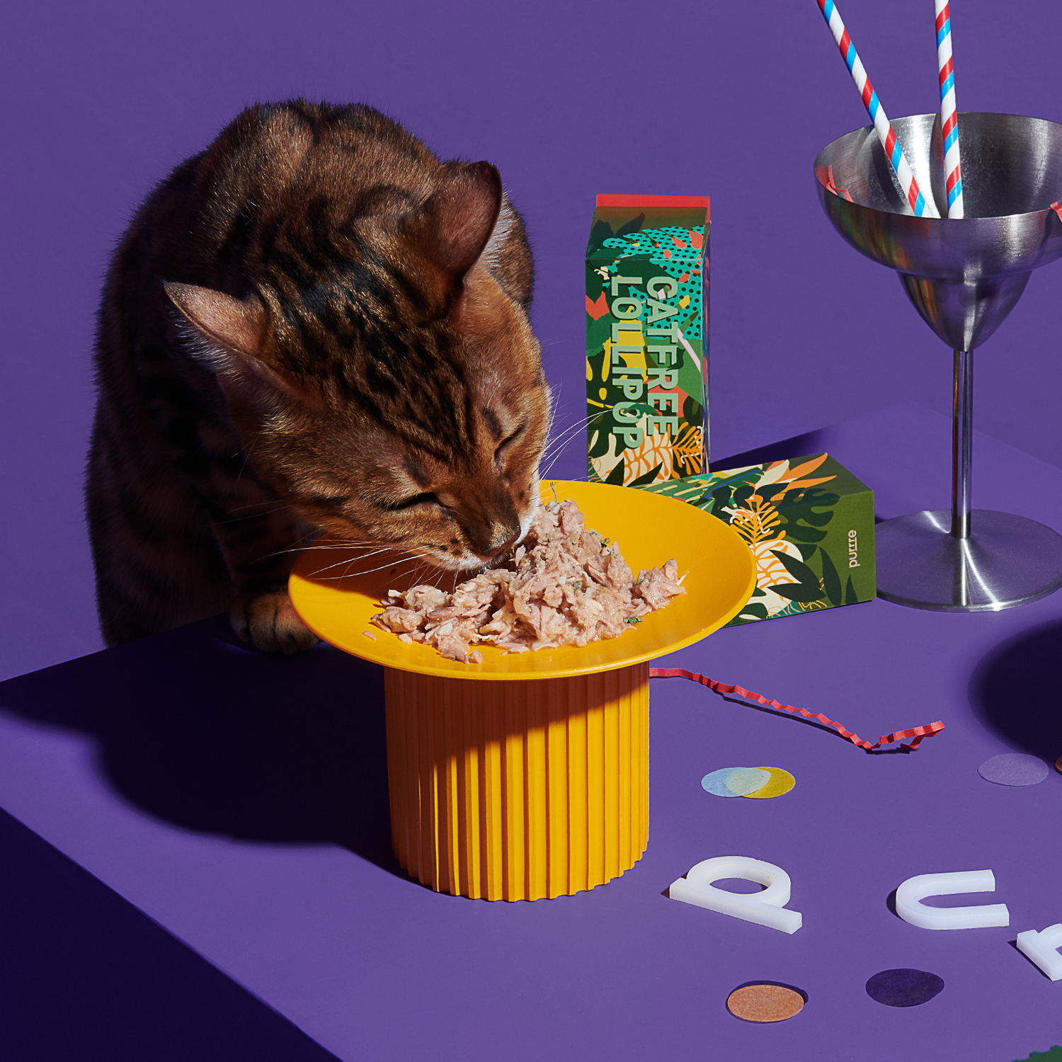 Purrre 齒間派對小食碟