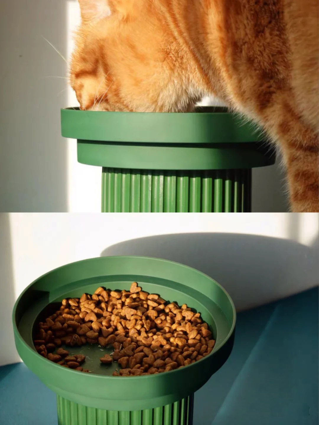 Purrre 齒間派對大食碗