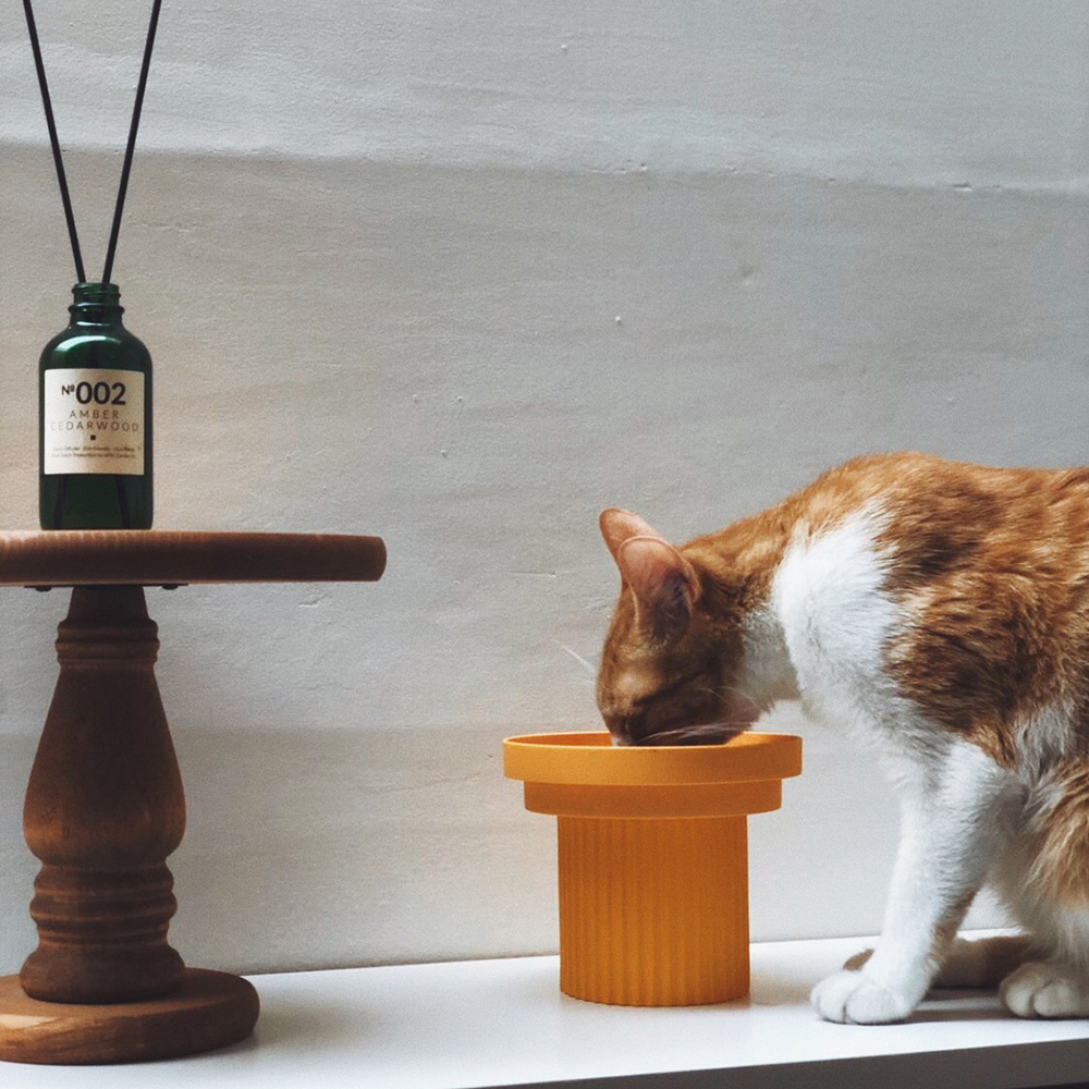 Purrre 齒間派對大食碗