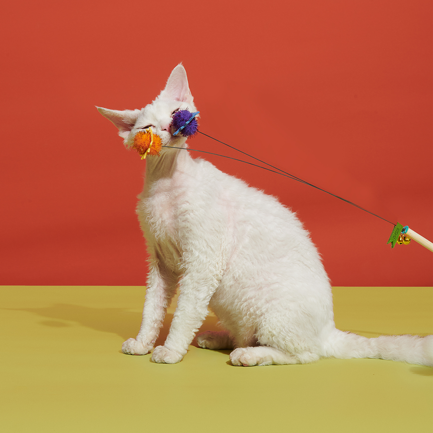 Purrre 扎扎果逗貓棒