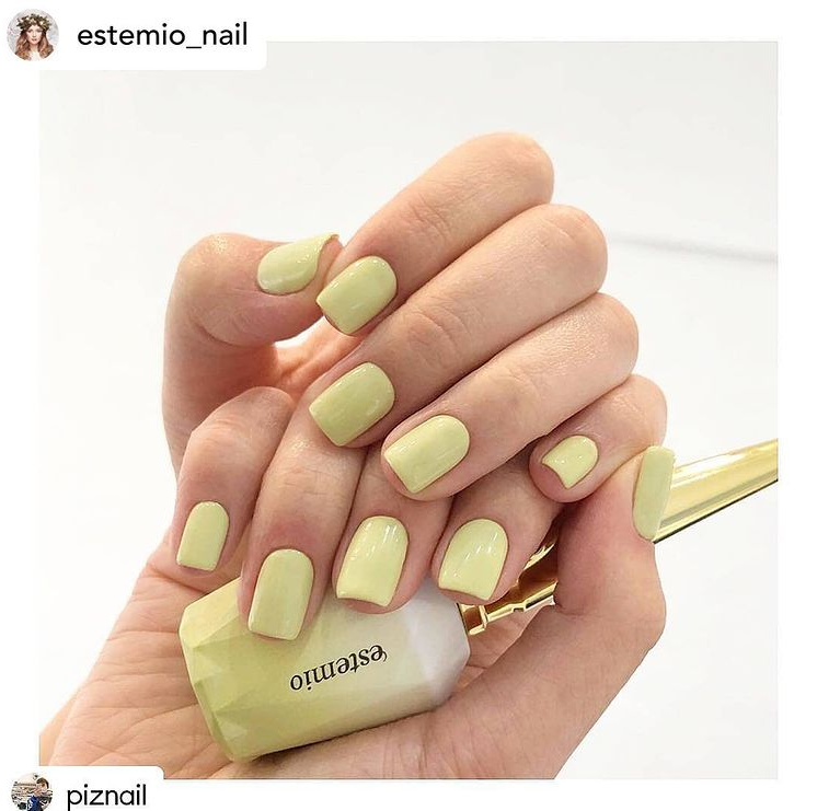 ESTEMIO G16 (SHADE)