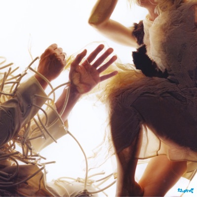 LUMP feat. Laura Marling & Mike Lindsay《Animal》（CD）