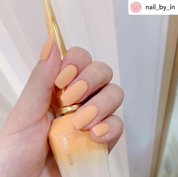 ESTEMIO SY7 (the-coral. SUMMER)