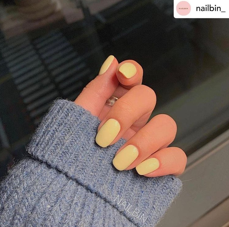 ESTEMIO Y16 (Secret Garden)