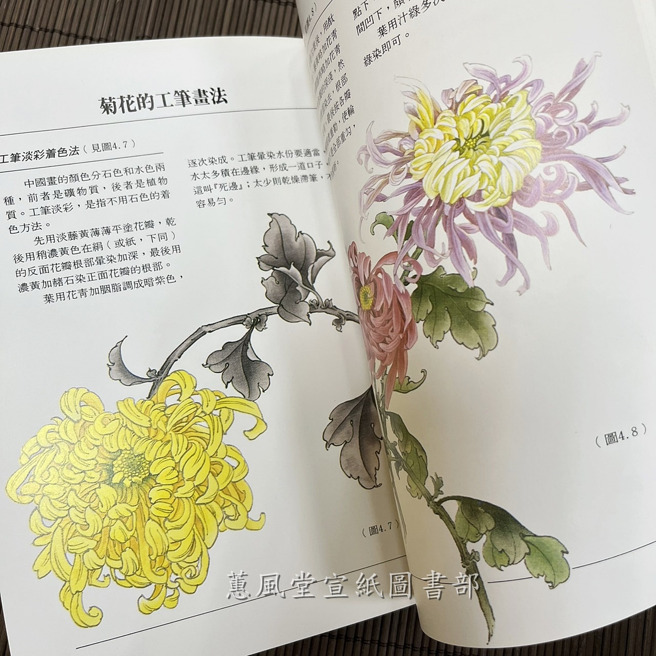 中國畫技法入門(11)--怎樣畫梅蘭竹菊