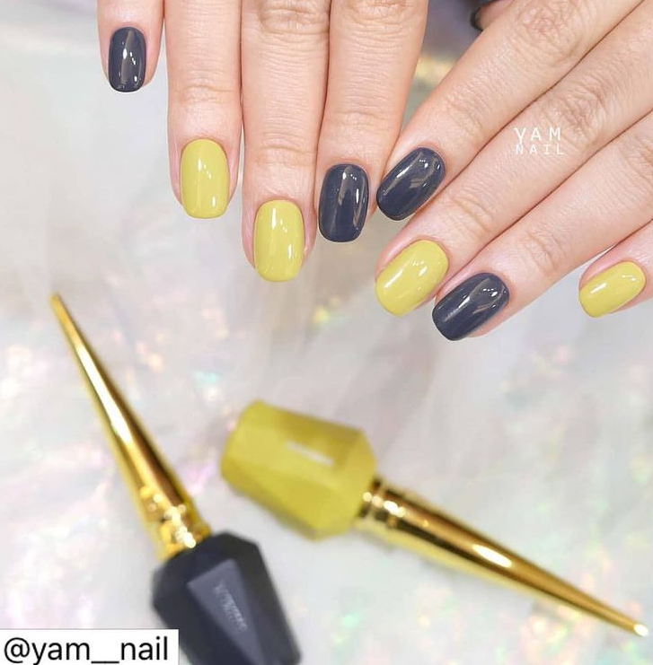 ESTEMIO Y14 (ATELIE-TE)