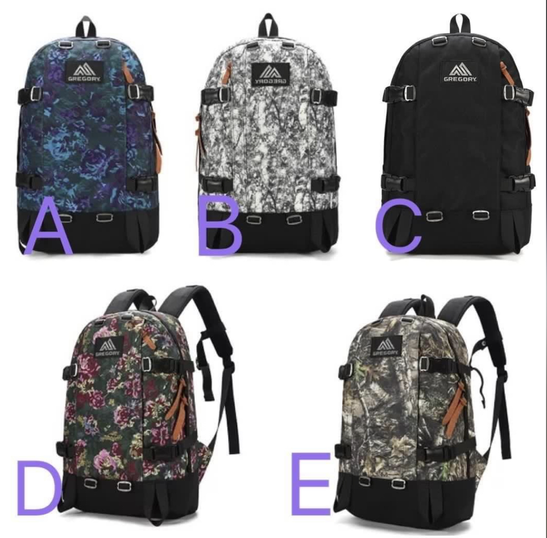 gregory day pack 22l