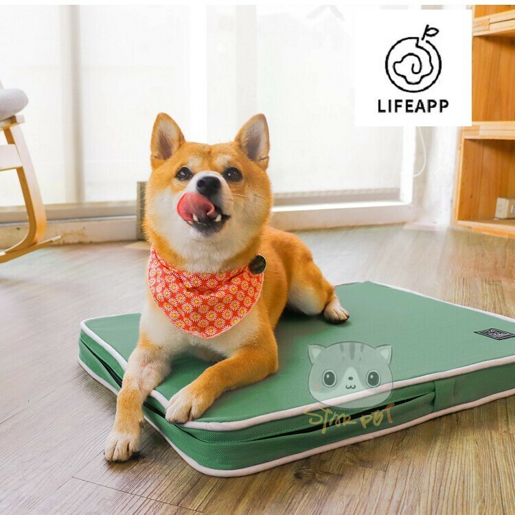 Lifeapp Classic Breathable Bed Green