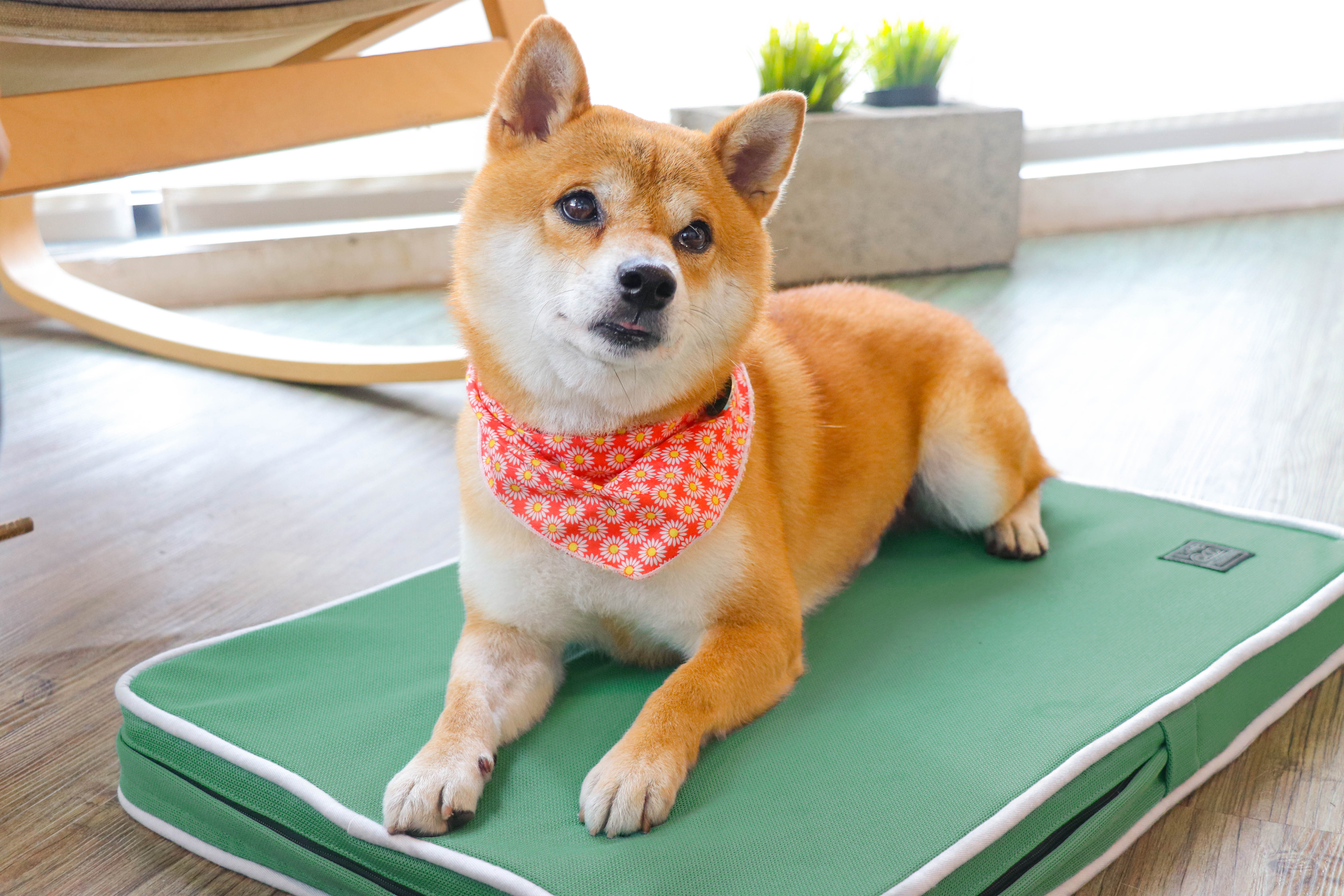 Lifeapp Classic Breathable Bed Green