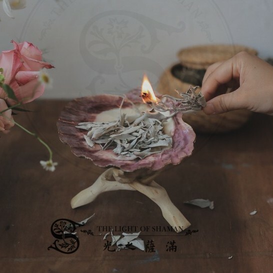 蚌殼 可用於燒白鼠尾草等 可選購支架