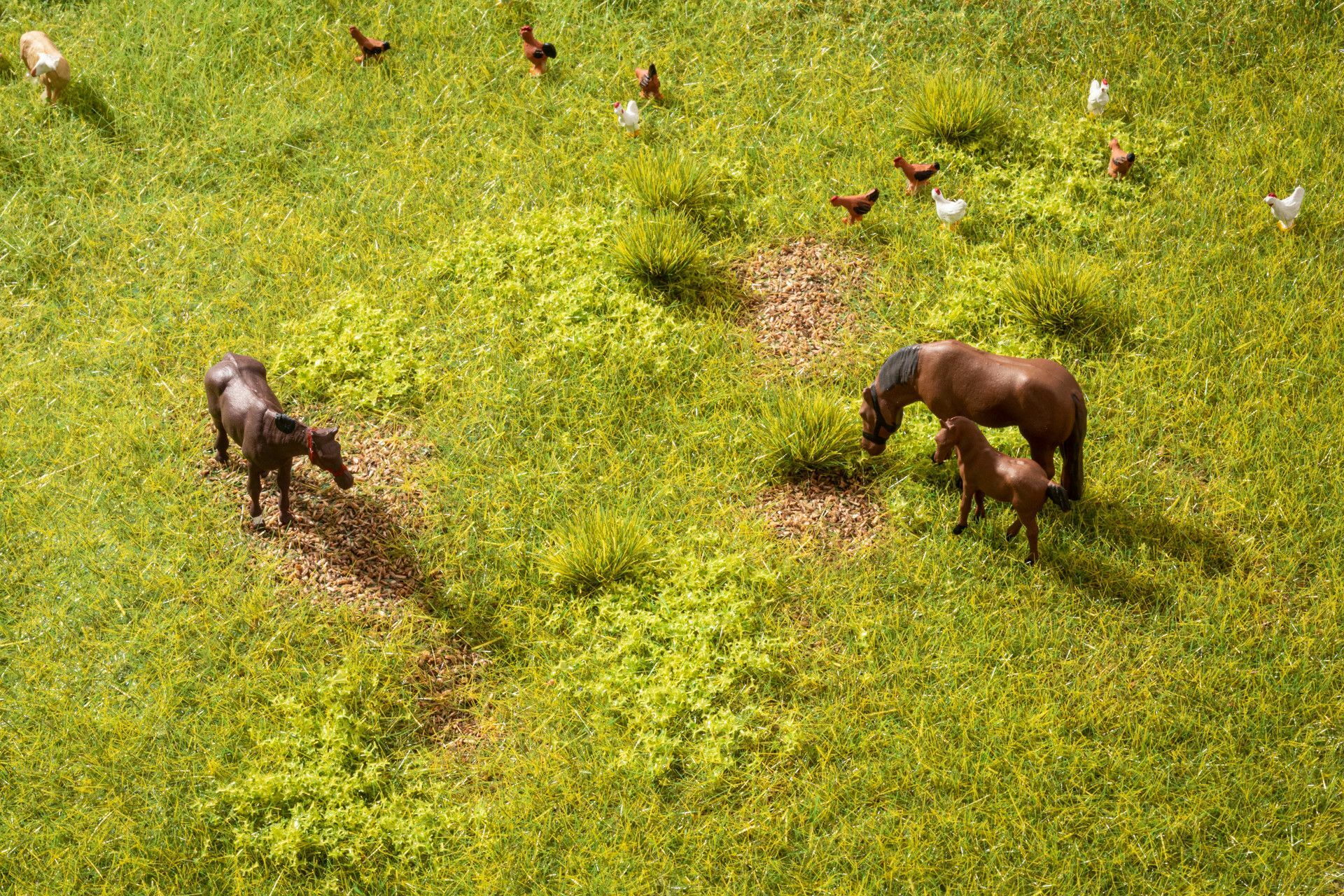 Noch 60771 HO規 Vegetation Start Set  Meadow 草原植被基本組