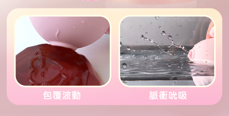 小章魚二代 哪裡買