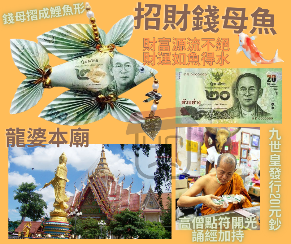 龍婆本廟供請 招財錢母魚
