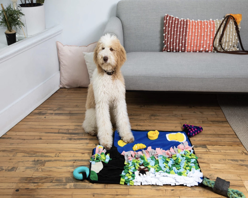 Toto's Pet World - 多功能星空嗅聞墊（另附舔食墊）