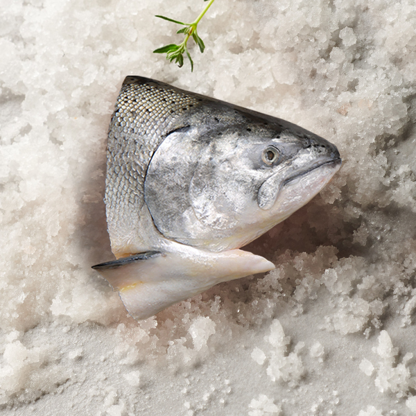 不老鮭鮭魚膠質鮭魚頭 330g