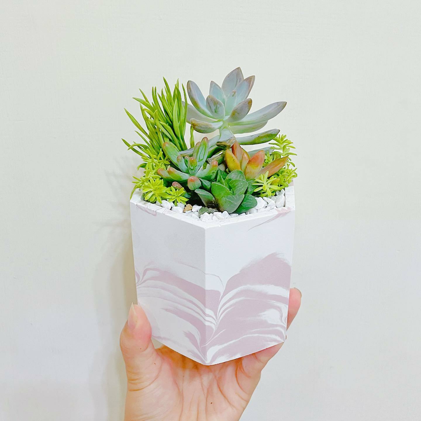 多肉組盆｜花花世界