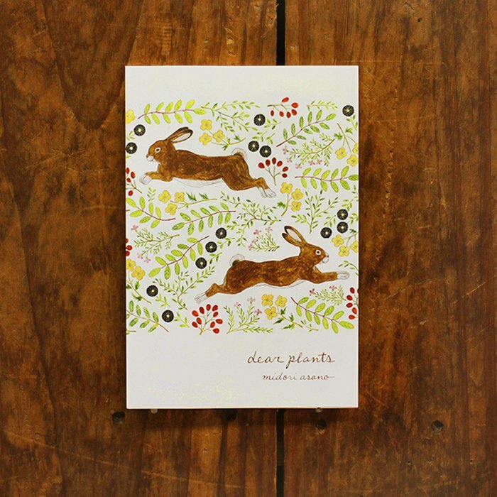 淺野綠:dear plants 插畫明信片本 10枚 日本表現社