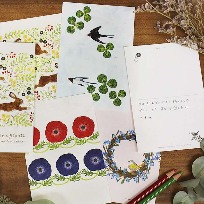 淺野綠:dear plants 插畫明信片本 10枚 日本表現社