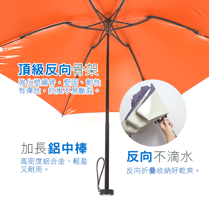 反向傘(Reverse umbrella)