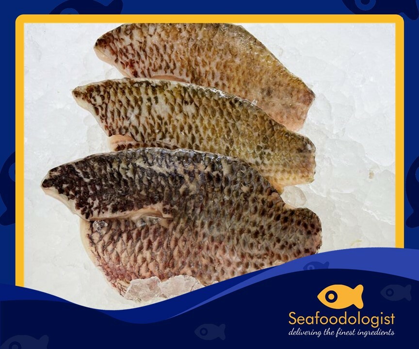 Tilapia Fillet Skin On