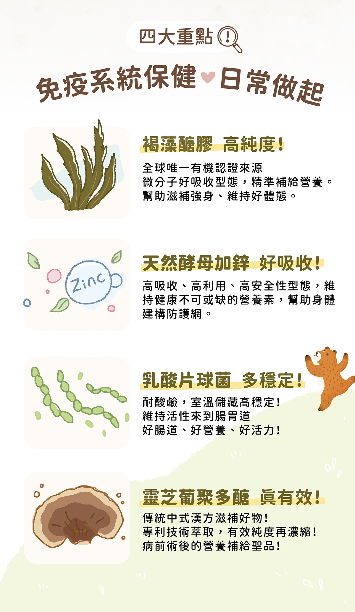 日常保健關鍵重點，高純度好吸收，穩定有效