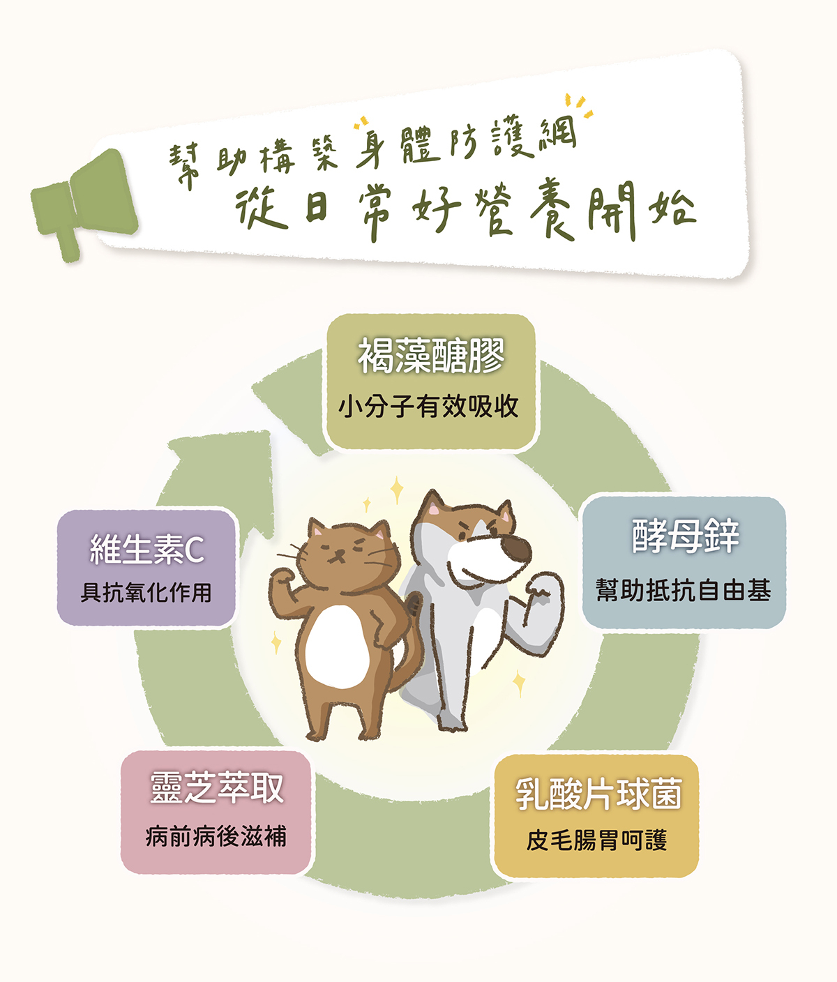 身體防護網，防護網五大元素