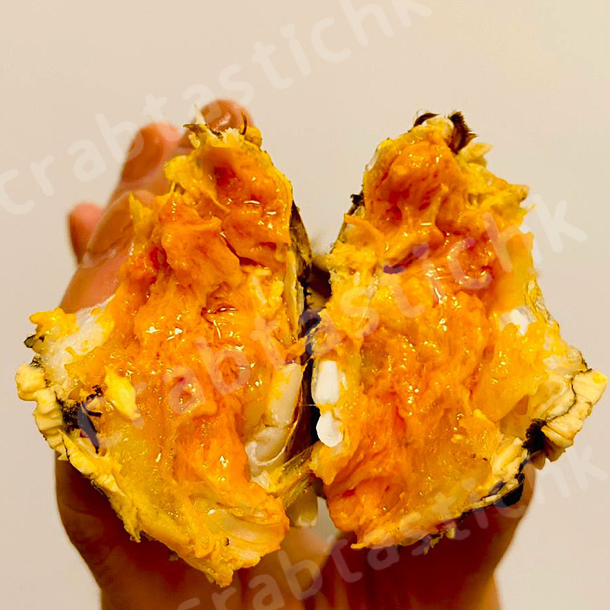 太湖大閘蟹 蟹公