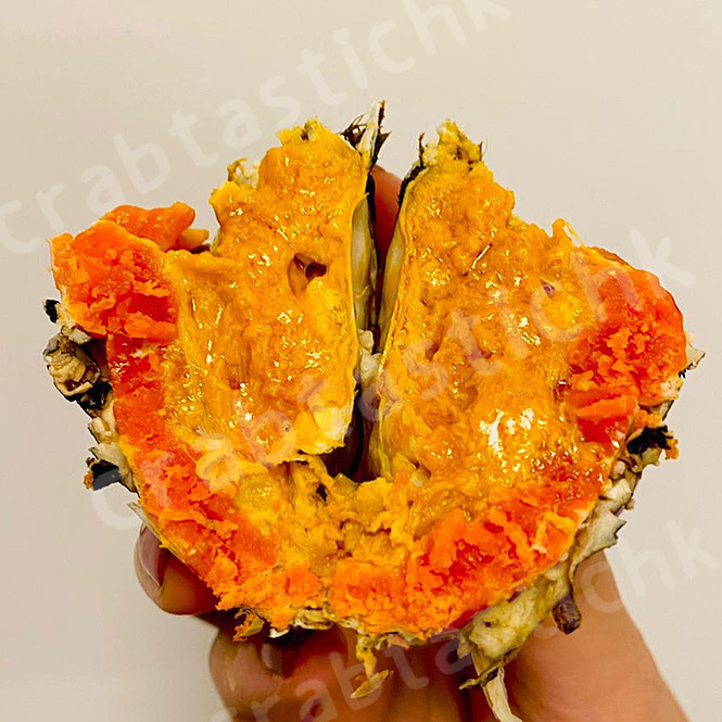 太湖大閘蟹 蟹乸