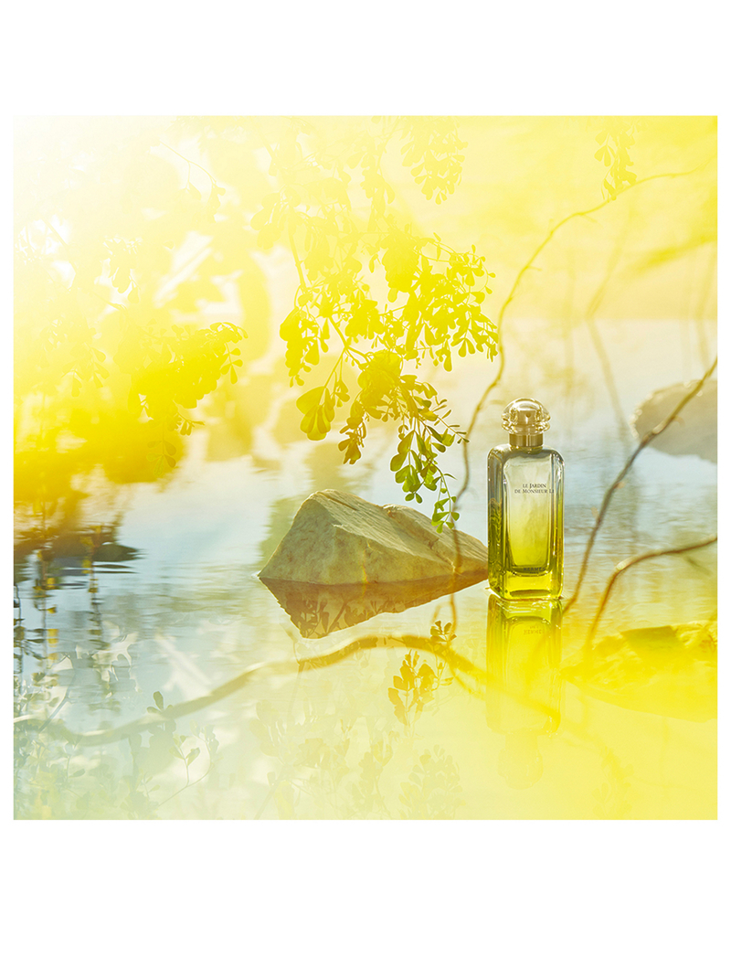 香水(ユニセックス) HERMES LE JARDIN DE MONSIEUR LI 50ml HERMES 法国李先生花园淡香水50ml / 100ml – LMCHING Group Limited