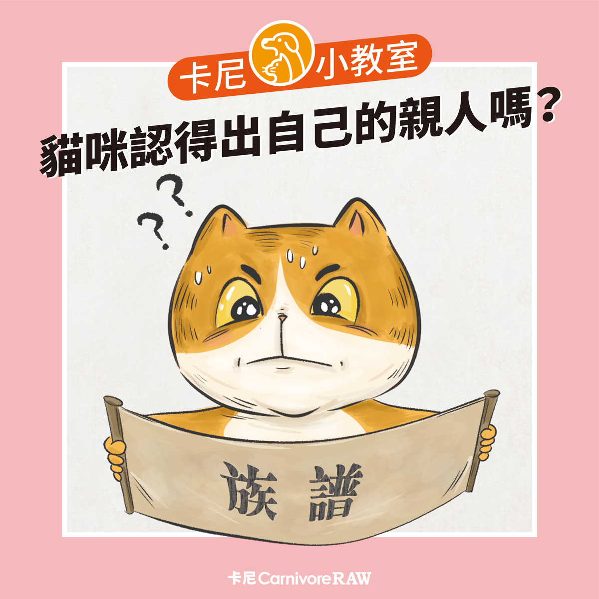 貓咪看不懂族譜