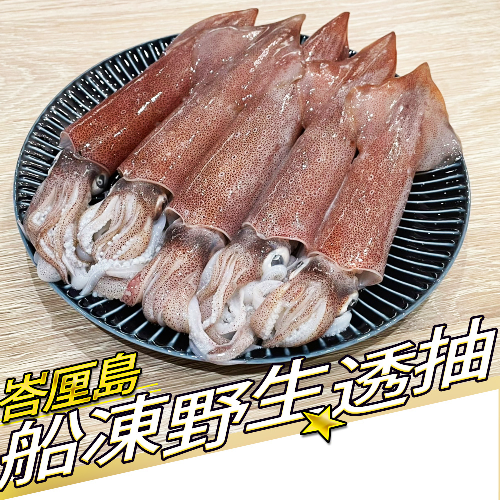 印尼船凍野生透抽【真食材本舖・RealShop|海鮮】