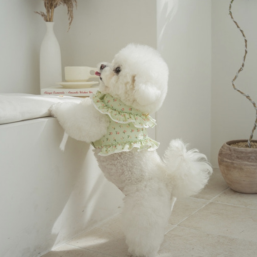 Augean-可愛碎花胸背衣-蘋果綠