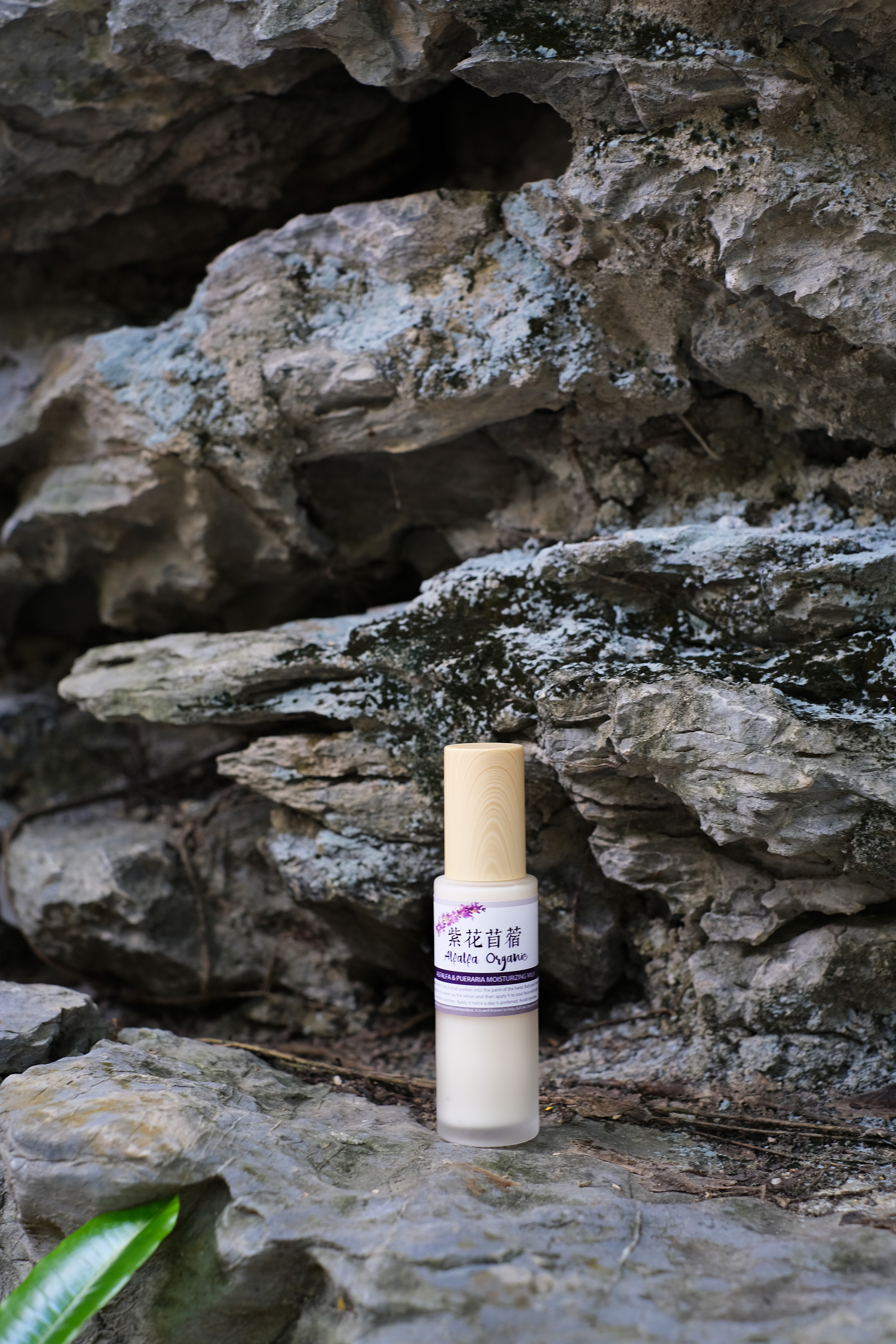 紫花苜蓿極潤乳霜