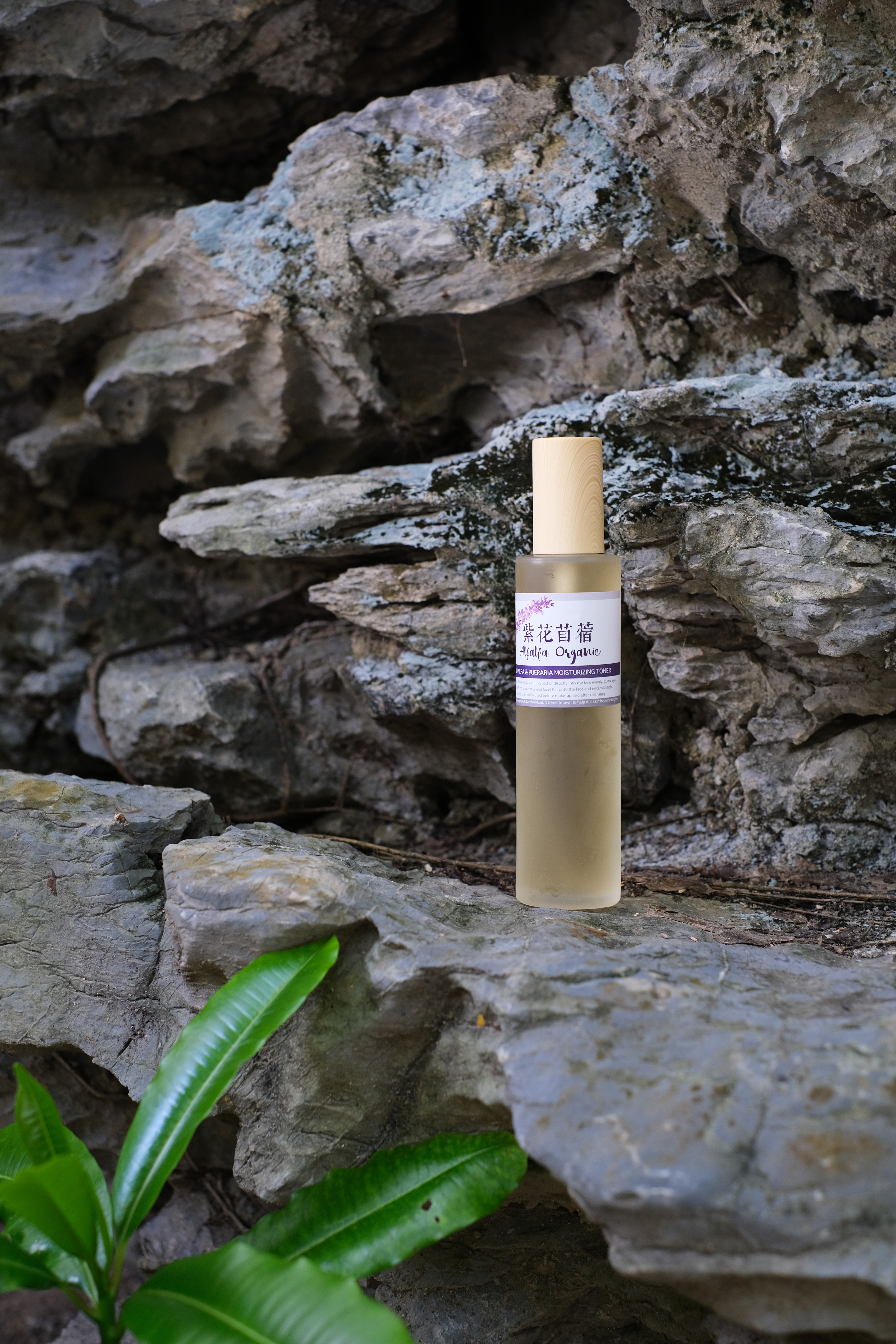 紫花苜蓿保濕化妝水