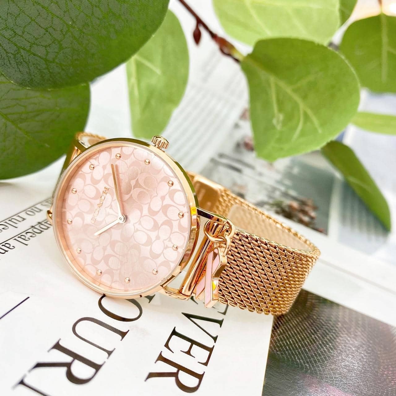 【Coach】Perry 乳癌防治紀念米蘭女錶 CO14503804 37mm 現代鐘錶