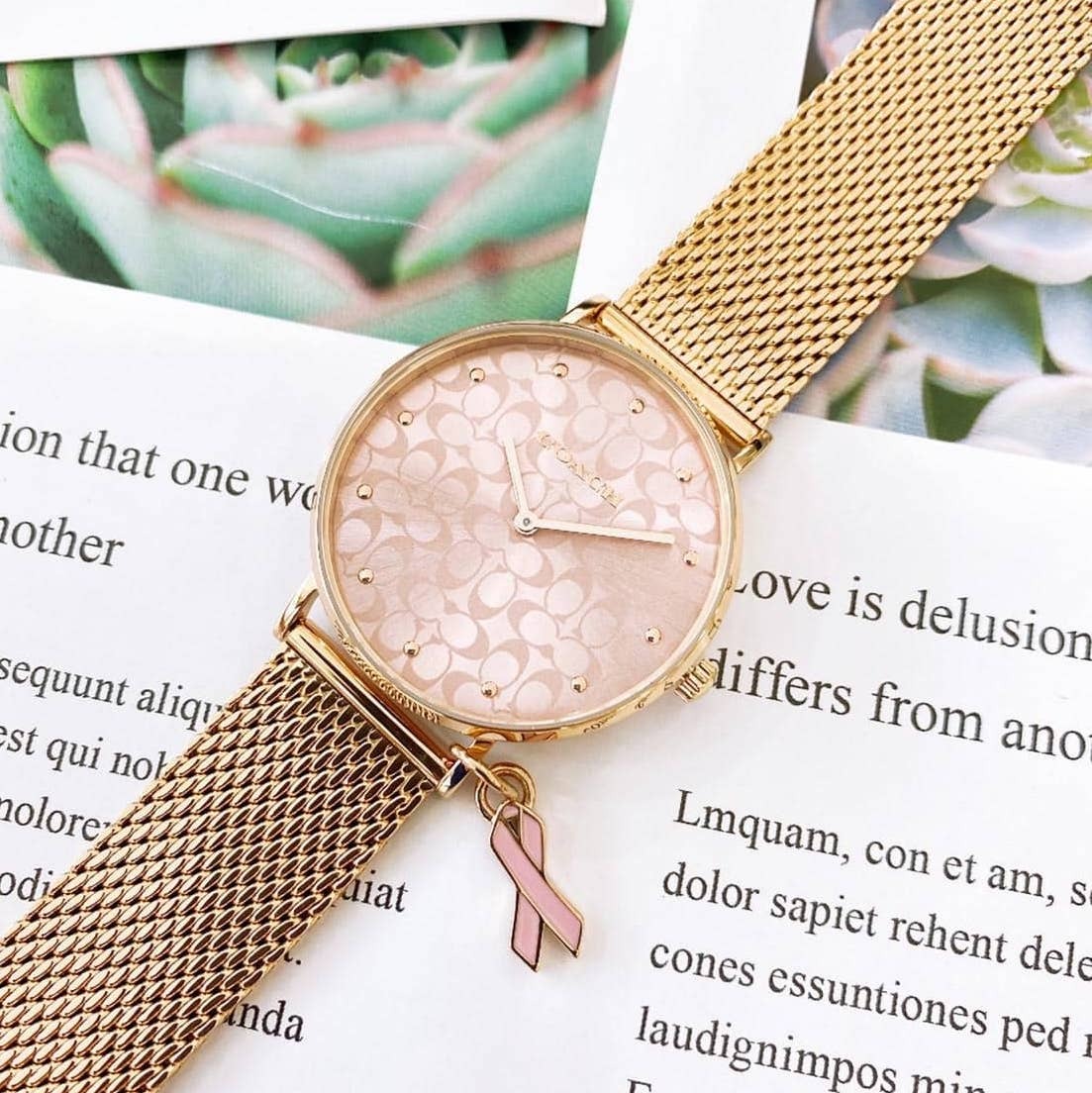 【Coach】Perry 乳癌防治紀念米蘭女錶 CO14503804 37mm 現代鐘錶