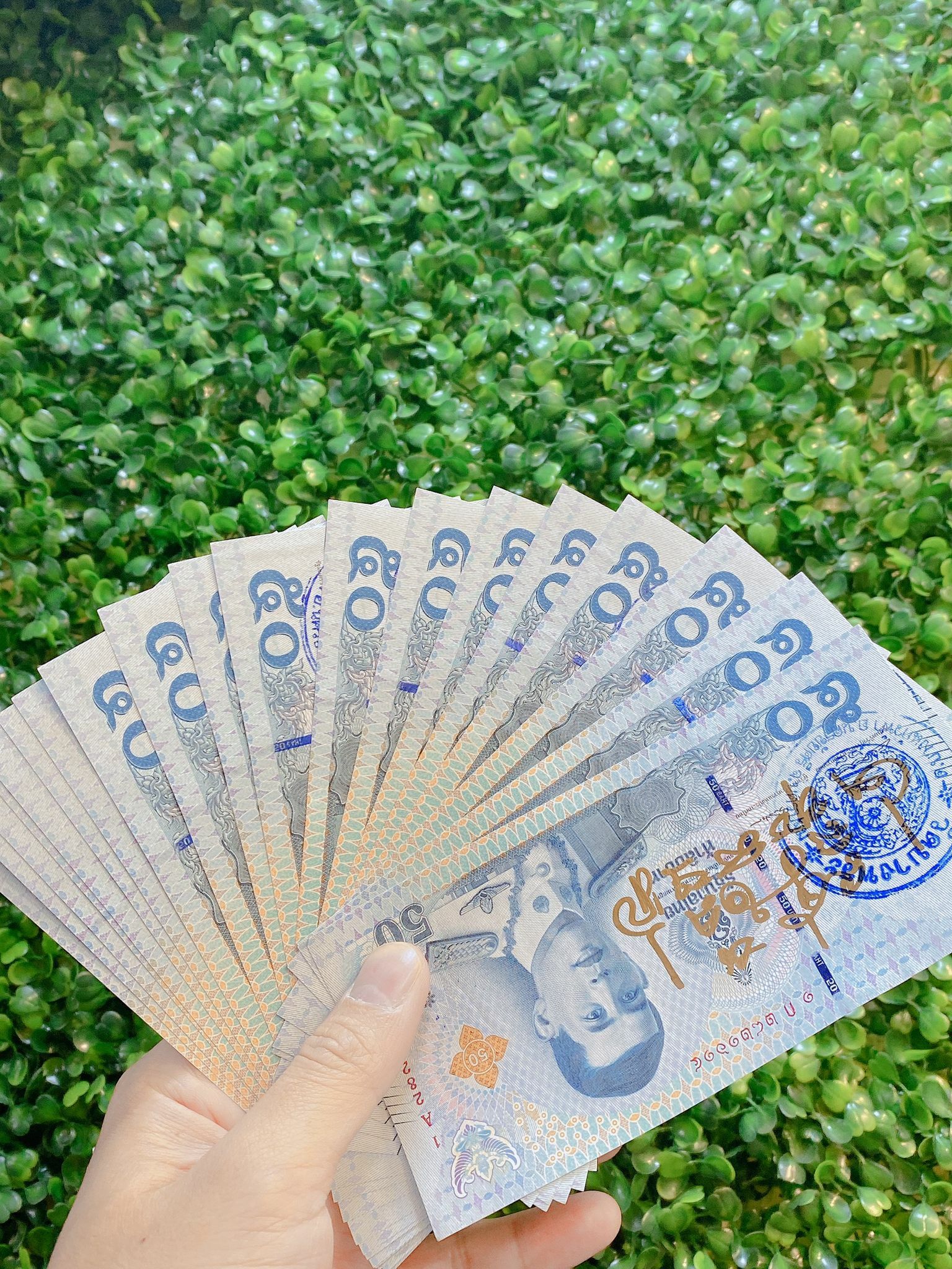 泰國龍婆本廟供請 藍色新版 錢母