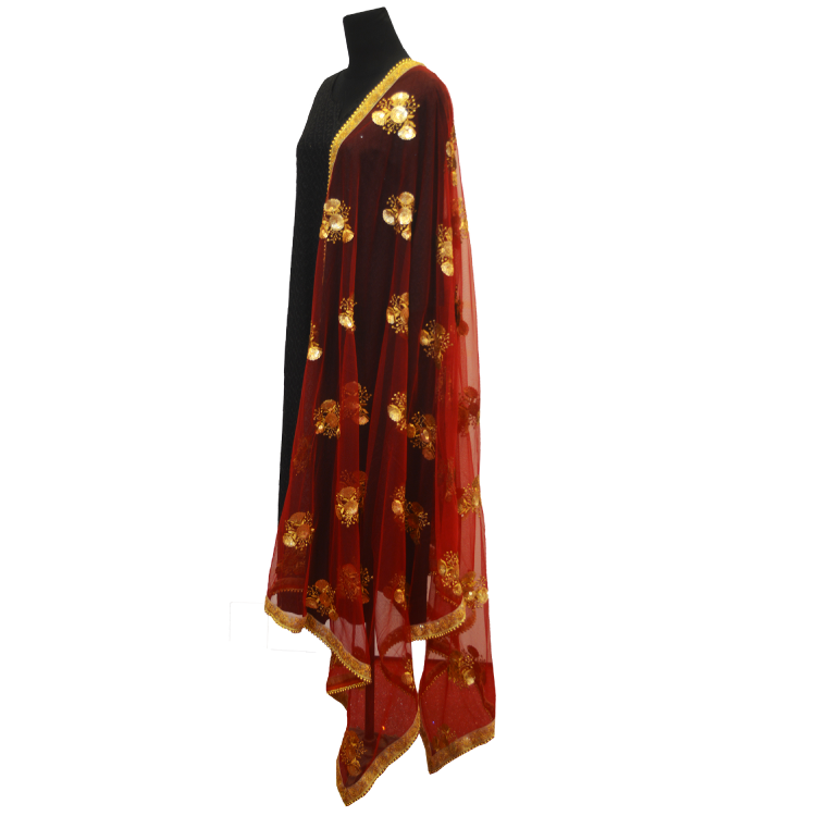 Women Multicolour Full Sequins Dupatta06